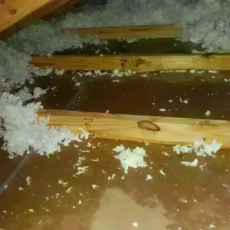 Attic Water Damage in Lake Forest, FL