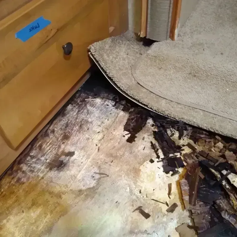 Wood Floor Water Damage in Lake Forest, FL